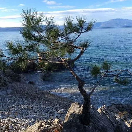 Daire In Njivice/insel Krk 13305